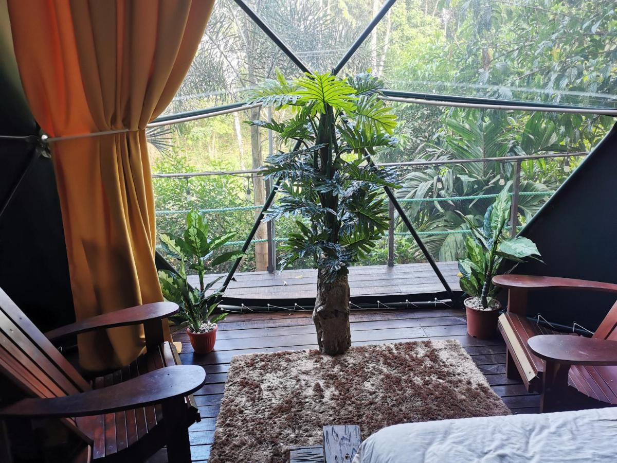 Momotus Glamping Hotell Florencia Exteriör bild