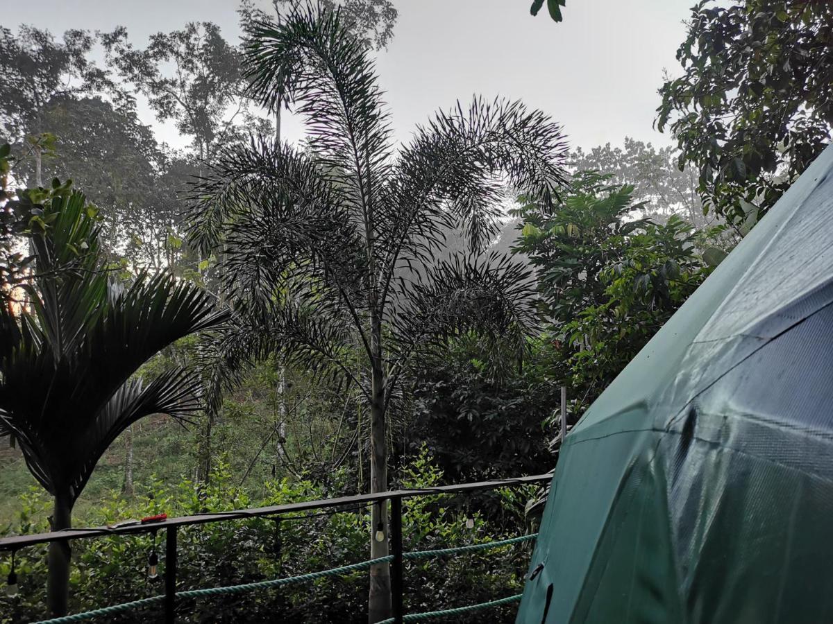 Momotus Glamping Hotell Florencia Exteriör bild