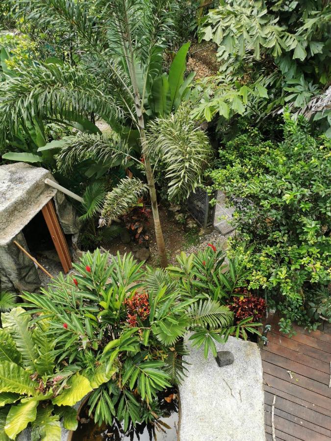 Momotus Glamping Hotell Florencia Exteriör bild