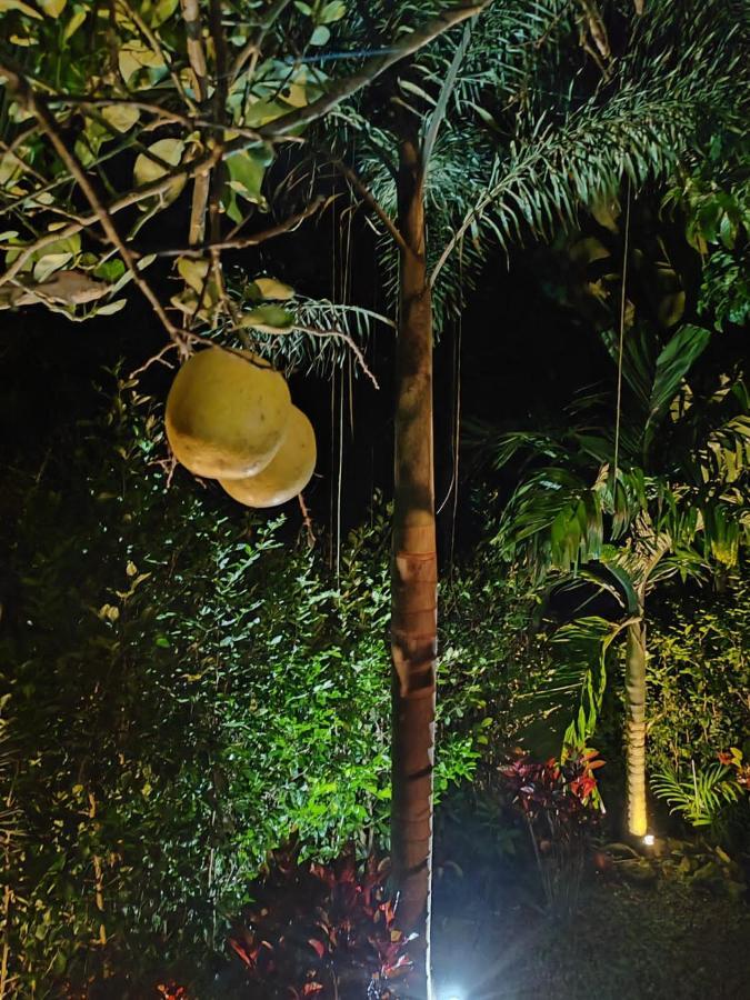 Momotus Glamping Hotell Florencia Exteriör bild