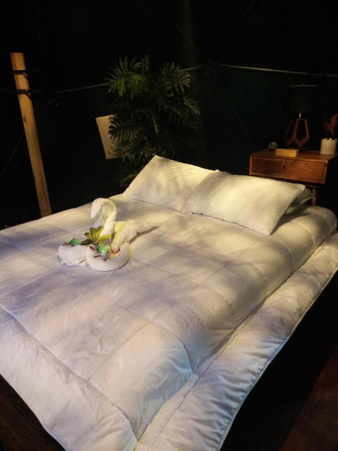 Momotus Glamping Hotell Florencia Exteriör bild