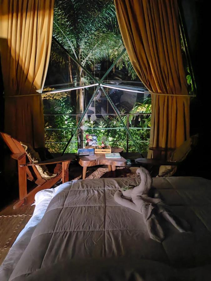 Momotus Glamping Hotell Florencia Exteriör bild